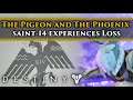 Destiny 2 Lore - The Pigeon & The Phoenix lore part 1! Saint-14's loss! Season of Dawn Lore!