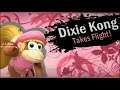 Donkey Kong Country 2 Dixie Kong Cosplay Part 2