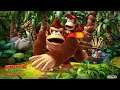 Donkey Kong Country Returns 5-3 Flutter Flyaway