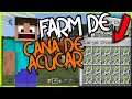 Farm de Cana de Açucar Automática Infinita  MINECRAFT 1.16 Bedrock, MCPE, Xbox One, Ps4 #Shorts