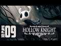 Let's Play Hollow Knight (Blind) EP9