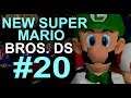 Lets Play New Super Mario Bros. DS #20 (ENDE/German) - Minigames + Überraschung