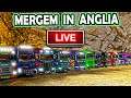 🔴Mergem in Anglia - 🚛 Euro Truck Simulator 2 Road to the Black Sea