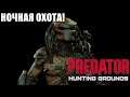 Predator Hunting Grounds🔺НОВОЕ DLC! 🔥НОЧНАЯ ОХОТА! ОХОТИМСЯ НА ЛЮДЕЙ! ОБНОВЛЕНИЕ 1.08!