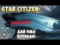 Star Citizen: Дай имя кораблю!