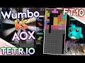TETR.IO - Wumbo vs AOX FT10 without Passthrough