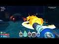 We open the dervish gordo (slime rancher part 8)