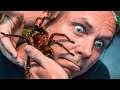 WORLDS LARGEST TARANTULA ON MY FACE!! WHY YOU SHOULDN'T FEAR ANIMALS | BRIAN BARCZYK