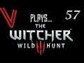 A Sorceresses' Hideout... The Witcher 3 (Blind) part 57