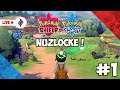 [LIVE] Challenge Dimulai ! Pokemon Sword & Shield Nuzlocke - 1