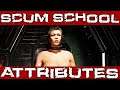 SCUM SCHOOL Ep. 2 | Everything about Attributes GUIDE