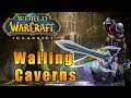 Wailing Caverns - World of Warcraft Classic #27