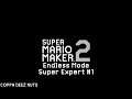 Super Mario Maker 2: Endless Super Expert No Skip Challenge #1