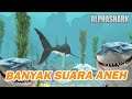 Menjadi Pemangsa Lautan | Gameplay | Alpha Shark | Game Pc