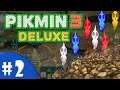 Pikmin 3 Deluxe | Bingo Battle | The Final Warning!
