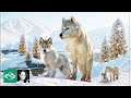 🔴 Arctic Wolf Habitat | City Zoo | Live Stream | Planet Zoo |
