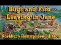 Every Bug and Fish Leaving in June on the Northern Hemisphere: Animal Crossing New Horizons