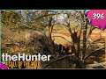 The Hunter Call Of The Wild #396 - Weißwedel gesucht, Elch gefunden [Gameplay | Deutsch]