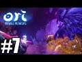Ori and the Will of the Wisps - Gameplay Walkthrough Part 7 - Kwolok Boss [4K]