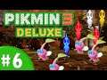 Pikmin 3 Deluxe | Story Mode Co-op | Pretty In Pink!
