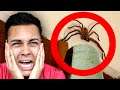 REACTING TO THE BIGGEST BUGS ON EARTH