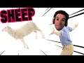 SHEEP SHEEP SHEEP SHEEP SHEEP SHEEP SHEEP SHEEP SHEP | Isle of Ewe Let's Play | Gameplay/Walkthrough