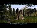 SkyrimSE | Re-Engaged ENB - Obsidian | My Most Downloaded Preset | Nolvus Mod Guide