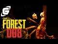 THE FOREST 🌲 LiveLP 008: Was machen wir überhaupt... | GAMAZINE