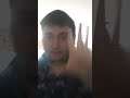 to play blue's clues (Trevor's favorite meal )
