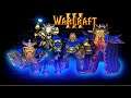 Полный обзор героев альянса в Warcraft 3