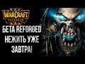 Warcraft III Reforged Бета 💾 Собираем Feedback Для Blizzard День #6