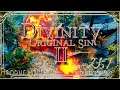 Divinity Original Sin 2 | Honour Mode Walkthrough | Part 257 Abyssal Void Predator