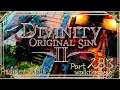 Divinity Original Sin 2 | Honour Mode Walkthrough | Part 283 Unassuming Citizen