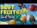 Sea of Thieves: All kinds of fruit + which ones give the most health - GUIDE
