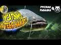 ПОПЫТКА НАЙТИ СОМА ЗНАЮ ВСЮ ПРАВДУ О МЕДВЕДЕ Русская Рыбалка 4