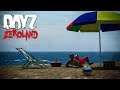 Жаркие Пляжи Черноруссии | DayZ Zeroland 1.13