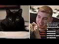 ErnieC3 Introduces His Cat on Stream