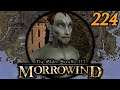 Mamaea Is Weird - Morrowind Mondays #224