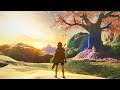 Modding Breath of the Wild to be as realistic as possible