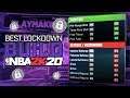 NEVER Before Seen Lockdown Build... BEST LOCKDOWN Build in NBA 2K20!
