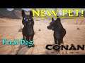 NEW Feral Dog Pet | Conan Exiles: The Isle of Siptah DLC