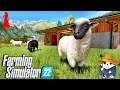 *New* More Sheep And Sowing All My Fields! | Farming Simulator 22 | Modded Simulation Gameplay Ep 4