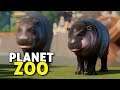 O Pântano Sombrio (e os hipos fofinhos) | Planet Zoo #05 - Sandbox Gameplay PT-BR