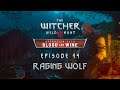 The Witcher 3 BaW - Let's Play [Blind] - Episode 14