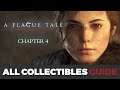 Chapter 4 All Collectibles (Alchemist Carts, Curiosities, Flowers, Gifts) - A Plague Tale: Innocence