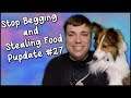 How To Stop Your Pet From Begging For Food and Stealing Food - MumblesVideos Pupdate #27