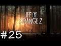 Life is Strange 2 [E04 - Faith] #25 🎧 Die Flucht