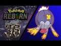 RADOMUS jest SZALONY! - Pokemon Reborn #36