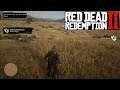 Red Dead Redemption II PC - Herbalist 9: 39 of 43 species of herb picked - Chapter 6: Beaver Hollow