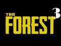 The Forest PS4 Walkthrough part 3